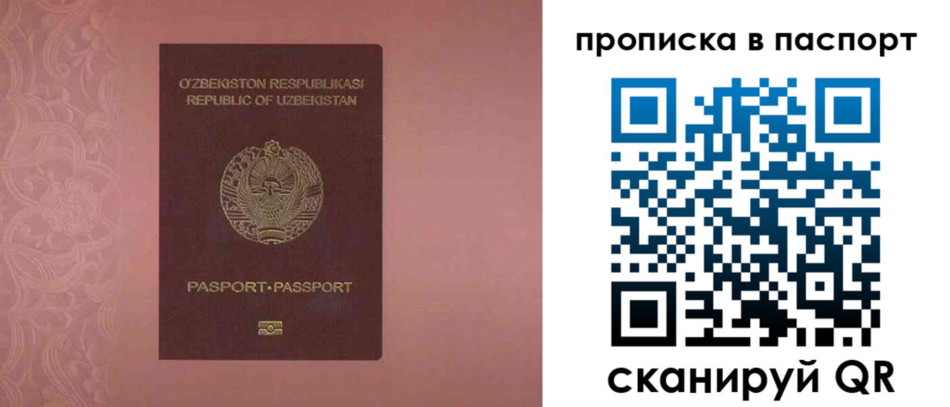 регистрация для школы в Новосибирске
